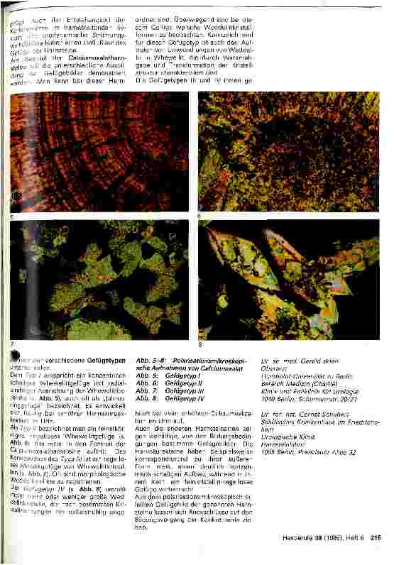 Vorschauseite 2: Morphologie der Harnsteine