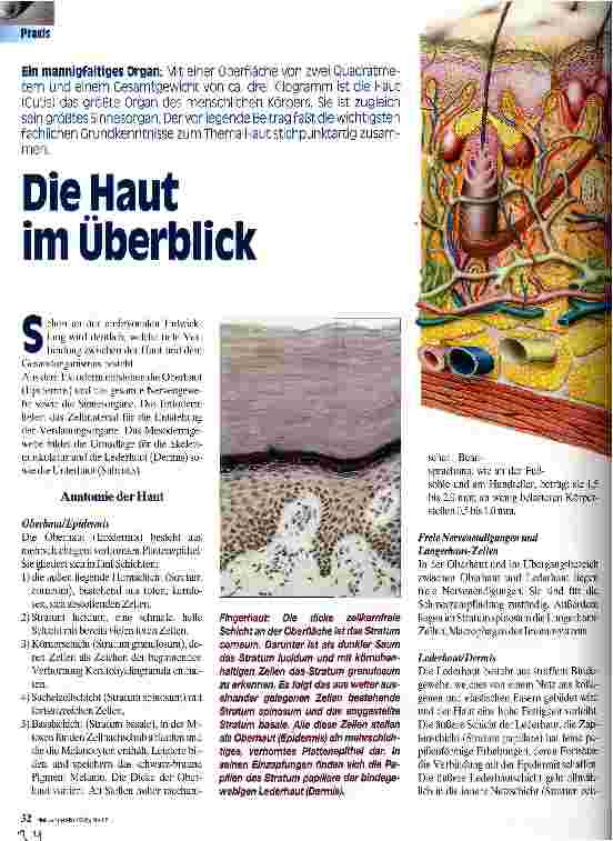 Vorschauseite 1: Die Haut im Überblick