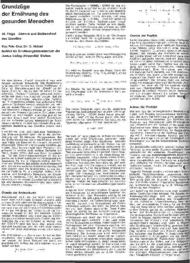 Vorschauseite 1: Grundzüge der Ernährung des gesunden Menschen 18. Folge: Chemie und Stoffwechsel des Eiweiß