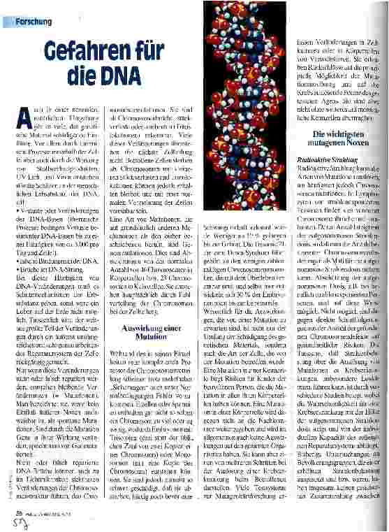 Vorschauseite 1: Gefahren für die DNA