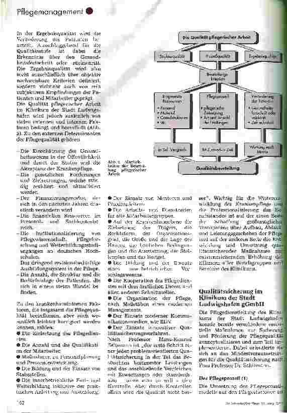 Vorschauseite 3: Professionalisierung und Qualitätsentwicklung am Klinikum der Stadt Ludwigshafen gGmbH, 1. Teil