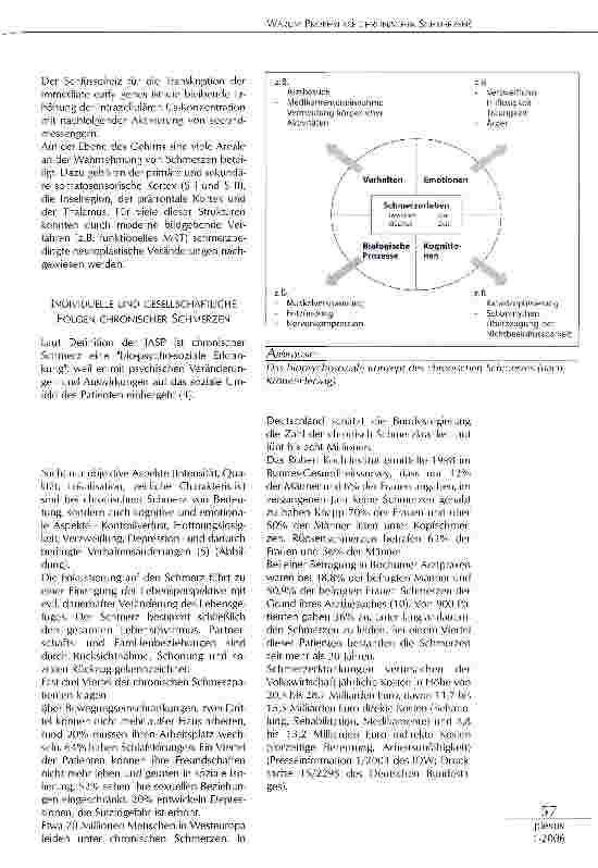 Vorschauseite 2: WARUM PROPHYLAXE CHRONISCHER SCHMERZEN?