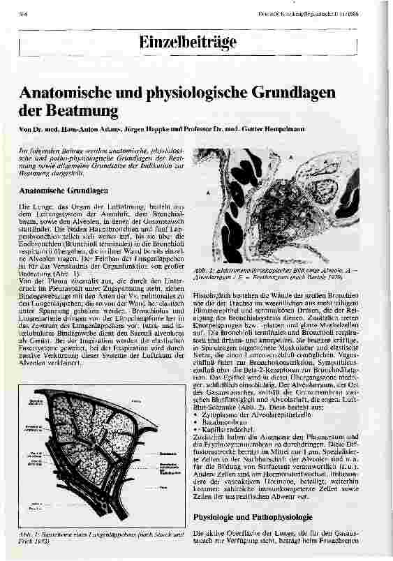 Vorschauseite 1: Anatomische und physiologische Grundlagen der Beatmung