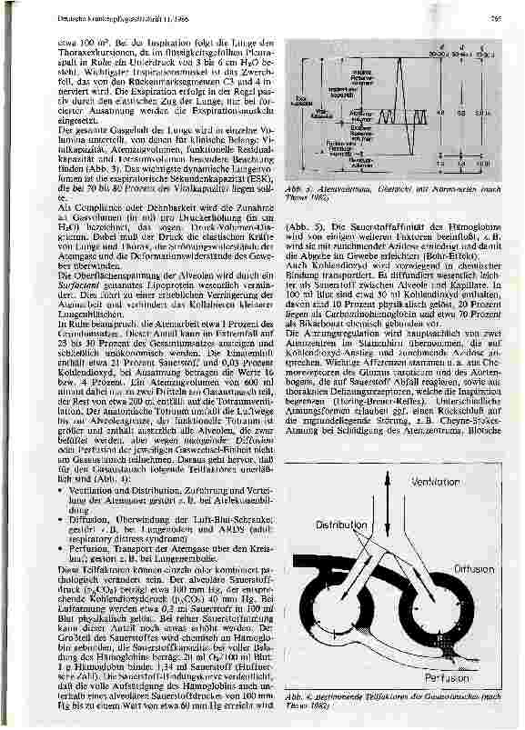 Vorschauseite 2: Anatomische und physiologische Grundlagen der Beatmung