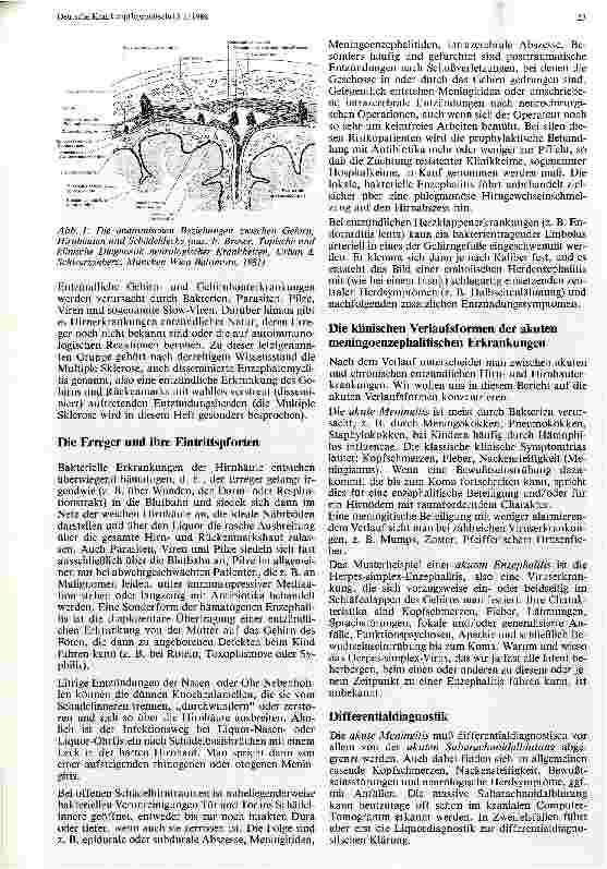 Vorschauseite 2: Die akuten Hirnund Hirnhautentzündungen Enzephalitis - Meningitis - Menigoezephalitis