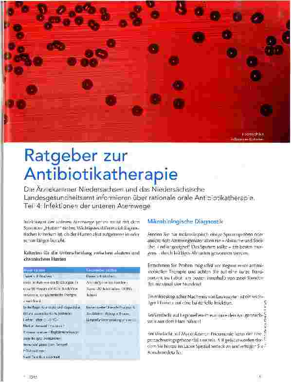 Vorschauseite 1: Ratgeber zur Antibiotikatherapie