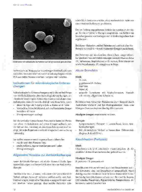 Vorschauseite 2: Ratgeber zur Antibiotikatherapie
