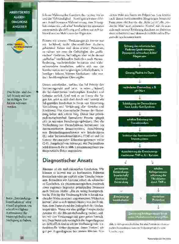 Vorschauseite 2: Der Verdauungstrakt beim rheumatischen Geschehen