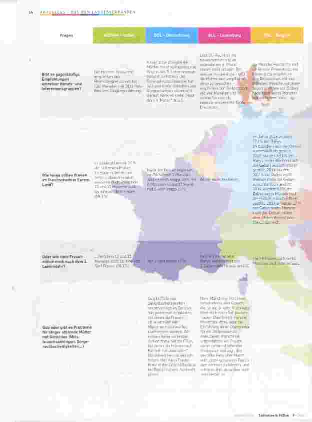 Vorschauseite 3: Fragebogen Stillempfehlungen in Europa