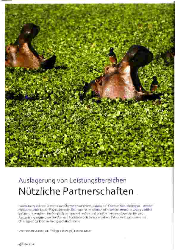 Vorschauseite 1: Auslagerung von Leistungsbereichen Nützliche Partnerschaften