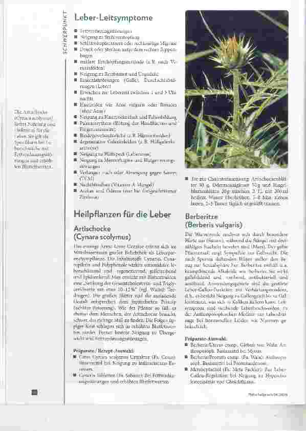 Vorschauseite 2: Grünkraft für die Leber
