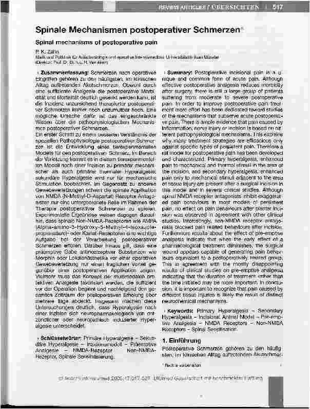 Vorschauseite 1: Spinale Mechanismen postoperativer Schmerzen