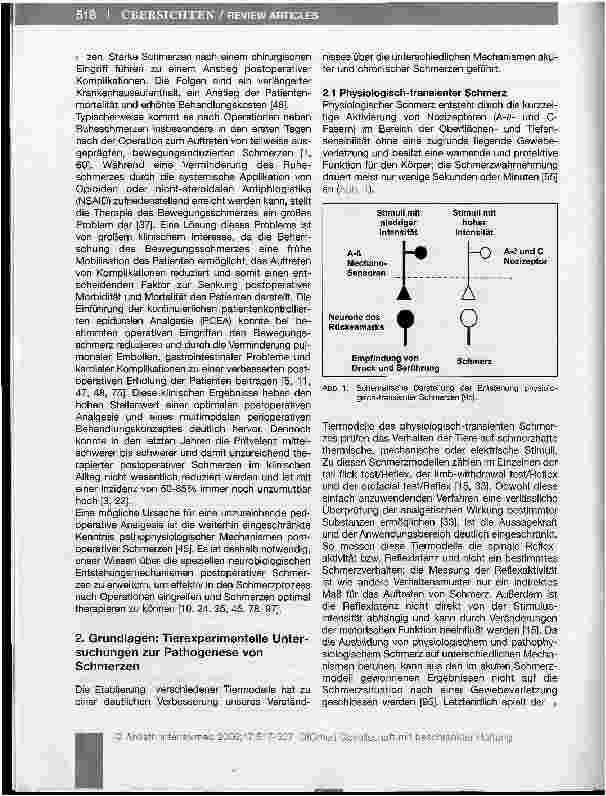 Vorschauseite 2: Spinale Mechanismen postoperativer Schmerzen