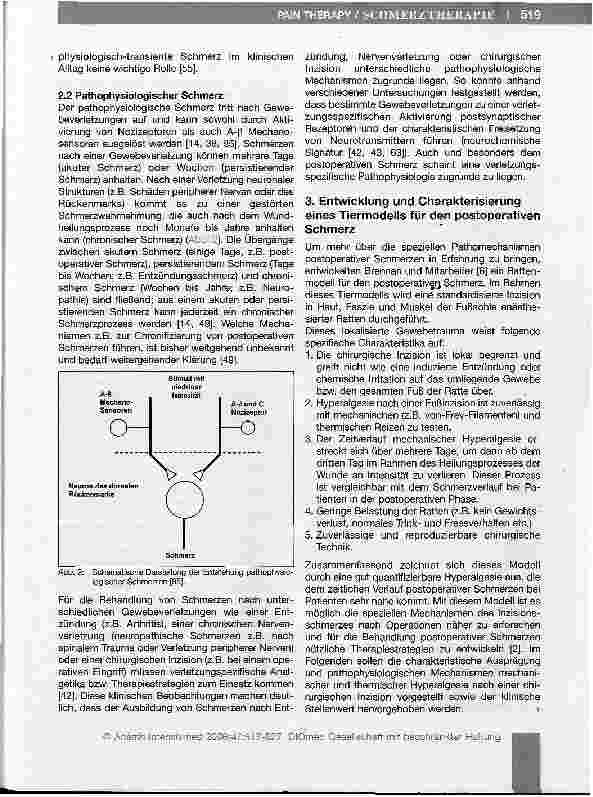 Vorschauseite 3: Spinale Mechanismen postoperativer Schmerzen