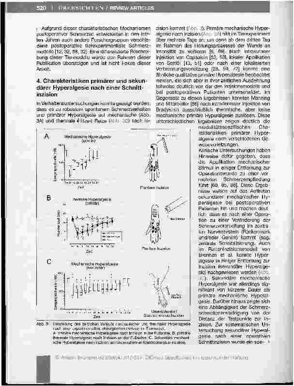 Vorschauseite 4: Spinale Mechanismen postoperativer Schmerzen
