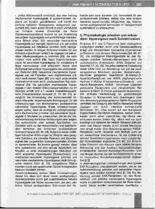 Vorschauseite 5: Spinale Mechanismen postoperativer Schmerzen