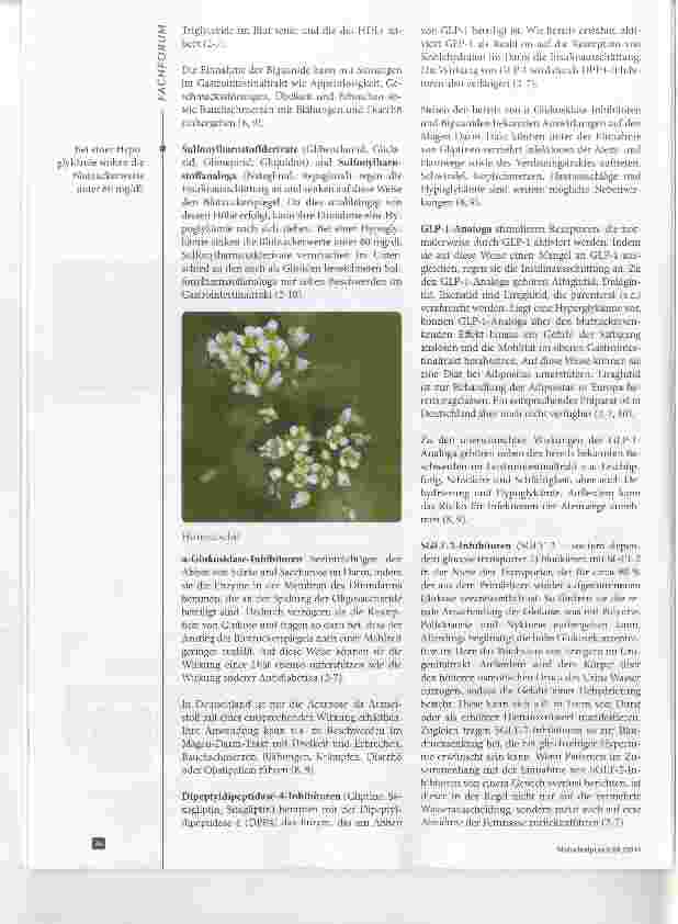 Vorschauseite 3: Antidiabetika Mögliche Wechselwirkungen mit Kräutern