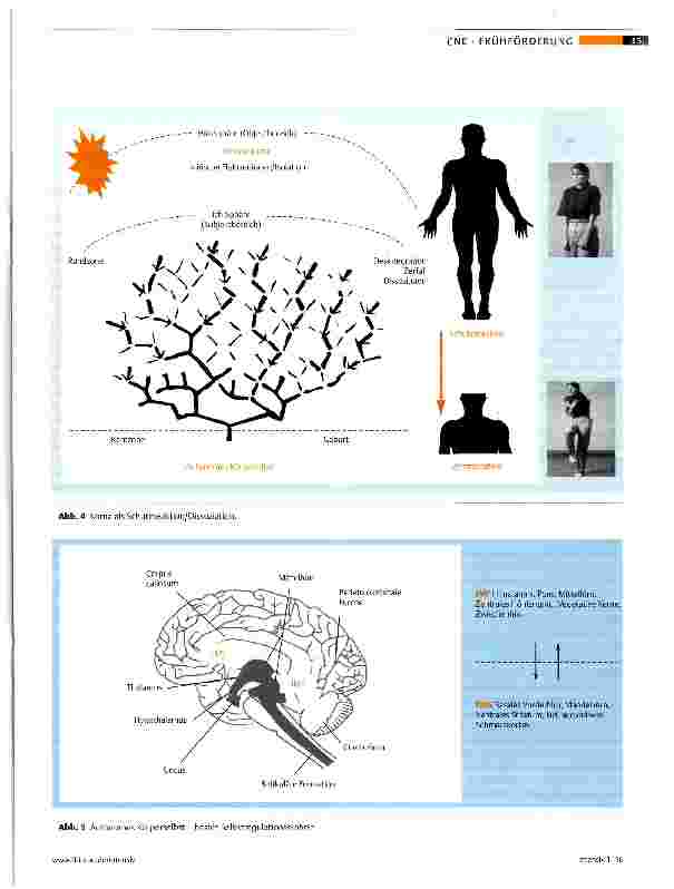 Vorschauseite 4: Neurologische Frühreha und Teilhabe von Komapatienten