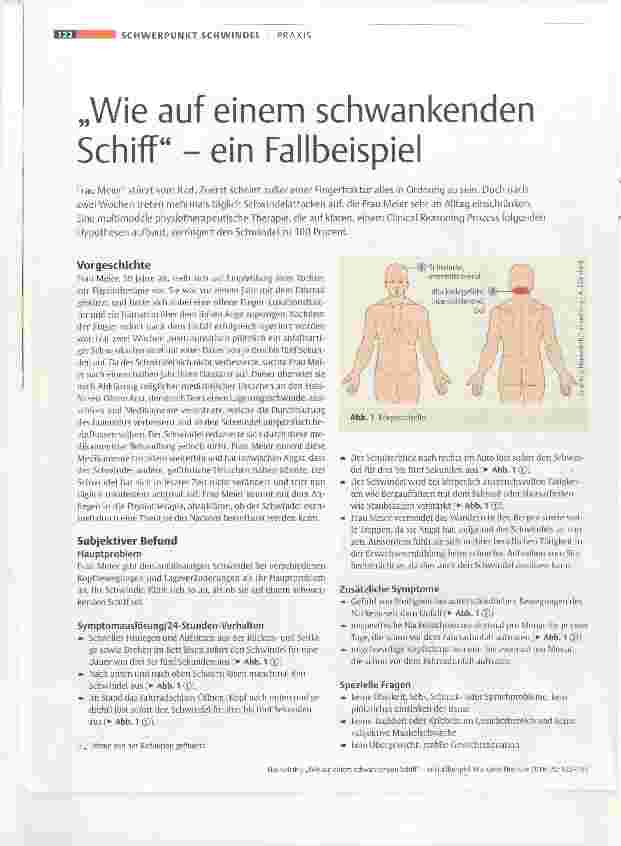 Vorschauseite 1: „Wie auf einem schwankenden Schiff“ ein Fallbeispiel