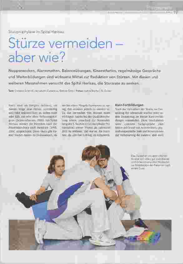 Vorschauseite 1: Stürze vermeiden - aber wie?