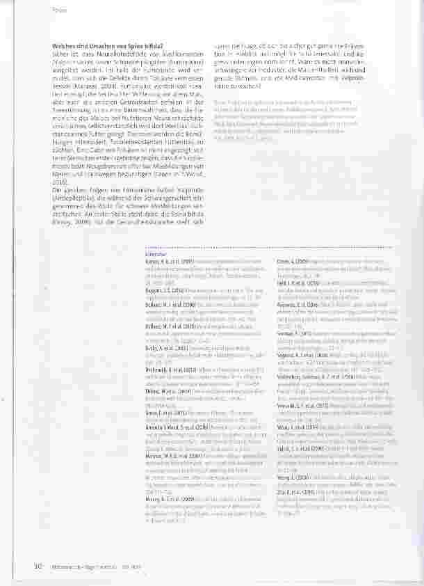 Vorschauseite 3: Supplemente für Schwangere: Was bringen Calcium und Folsäure?