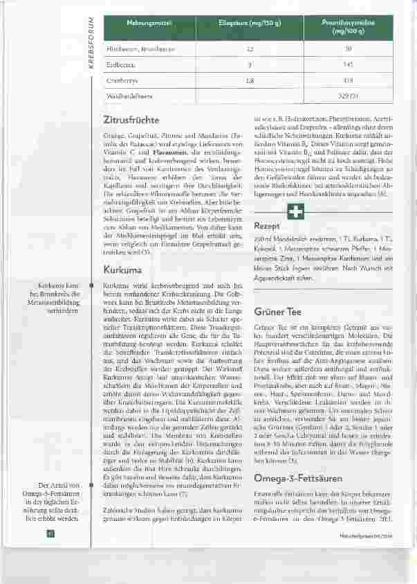 Vorschauseite 5: Mit Naturkraft gegen den Krebs