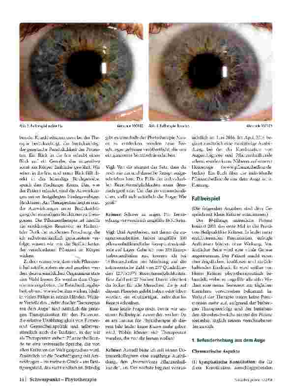 Vorschauseite 3: Personalisierte Phytotherapie