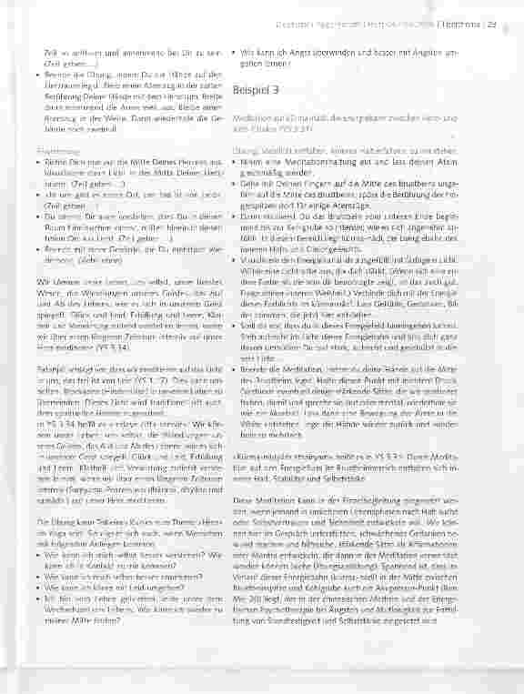 Vorschauseite 4: Samyama: Verstehen