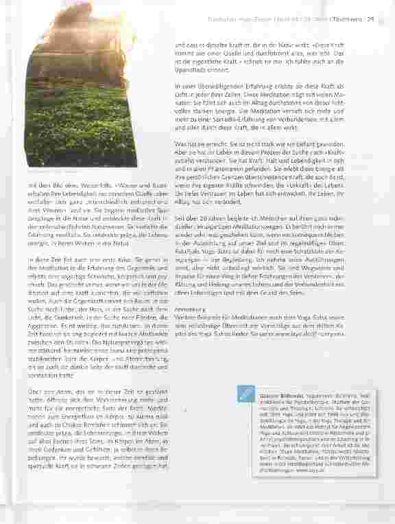 Vorschauseite 6: Samyama: Verstehen
