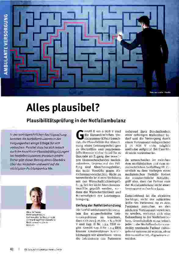 Vorschauseite 1: Alles plausibel?