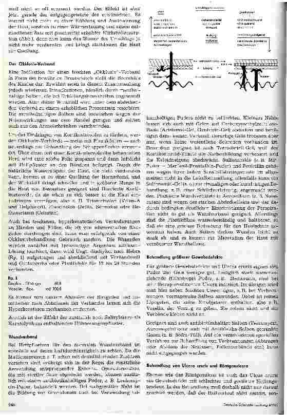 Vorschauseite 2: Zur praktischen Durchführung der externen Behandlung Teil II