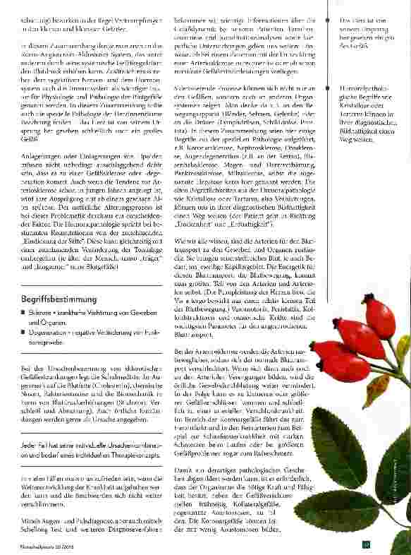 Vorschauseite 2: Arteriosklerose Theorie und Praxis