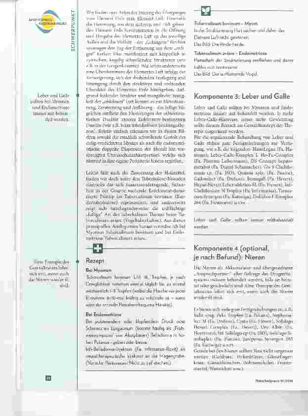 Vorschauseite 3: Myome und Endometriose Mithilfe der Augendiagnose erfolgreich behandeln
