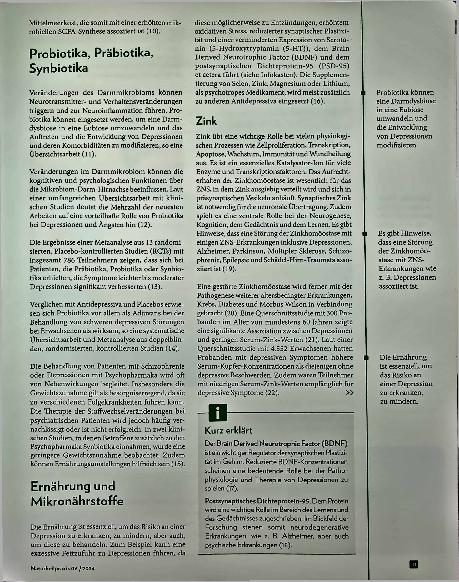 Vorschauseite 2: Stabilität durch Vielfalt: Darmmikrobiom und Depressionen