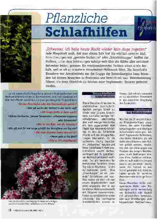 Vorschauseite 1: Pflanzliche Schlafhilfen