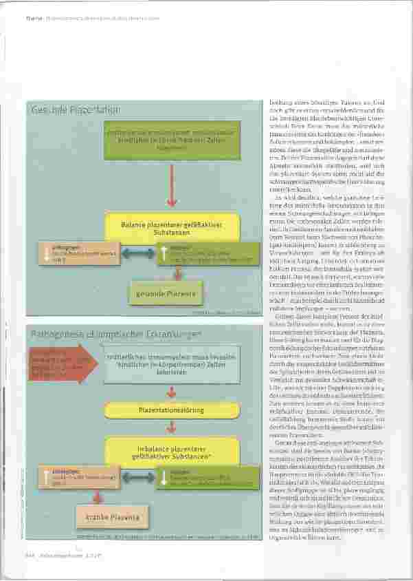 Vorschauseite 3: Hypertensive Schwangerschaftserkrankungen und Eklampsie neuer Zugang zu einer komplexenKrankheitsfamilie