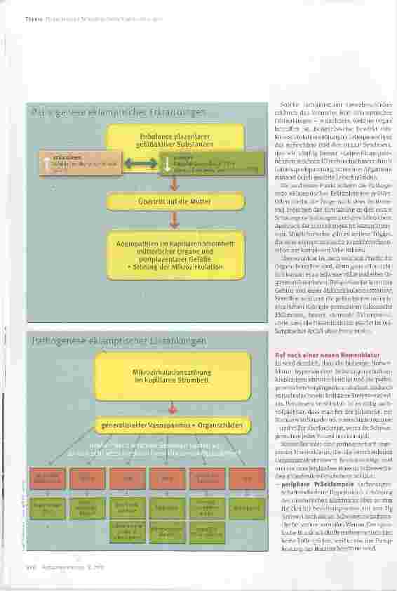 Vorschauseite 4: Hypertensive Schwangerschaftserkrankungen und Eklampsie neuer Zugang zu einer komplexenKrankheitsfamilie