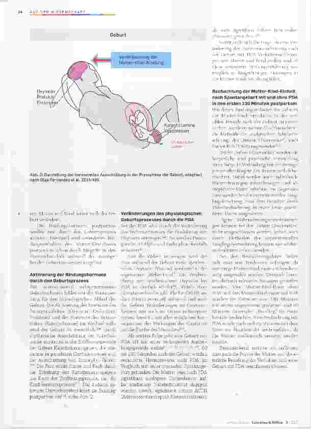 Vorschauseite 3: Über den Einfluss der PDA auf das physiologische und sensible Bindungsverhalten der Mutter-Kind- Einheit in den ersten zwei Stunden postpartum