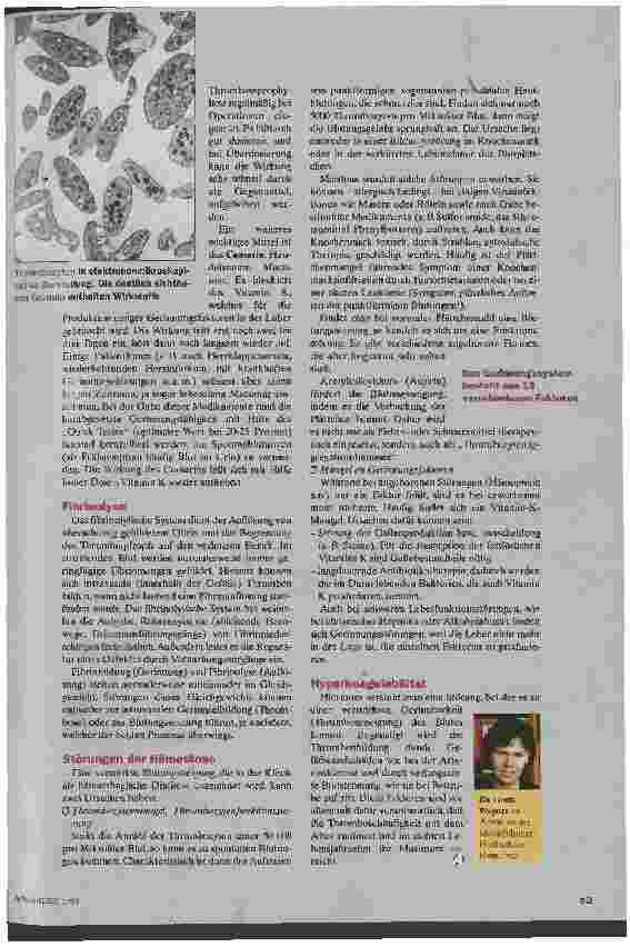 Vorschauseite 2: Komplex und kompliziert