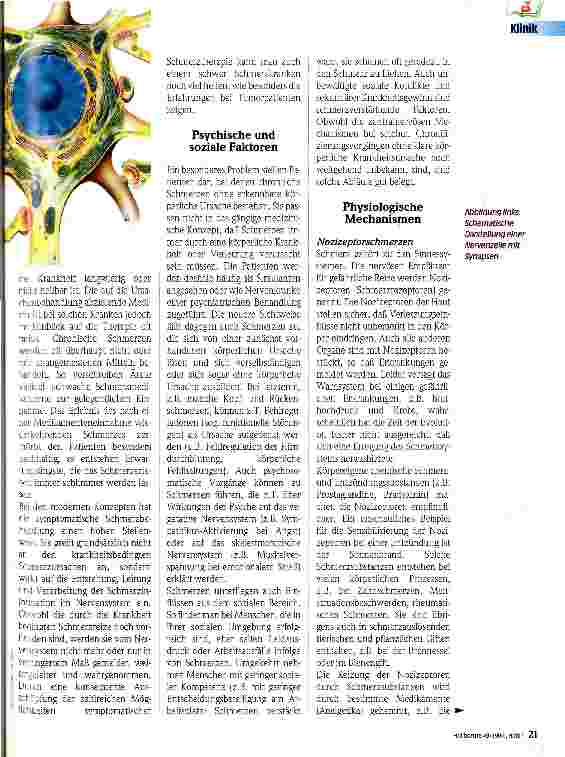 Vorschauseite 2: Der chronische Schmerz