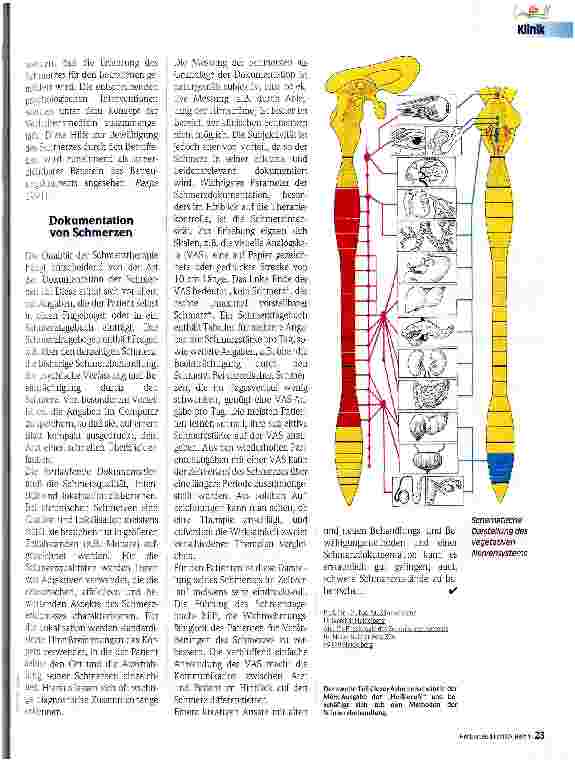 Vorschauseite 4: Der chronische Schmerz