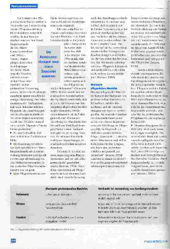 Vorschauseite 3: Pflegestandards - ein Instrument professionellen Handelns?