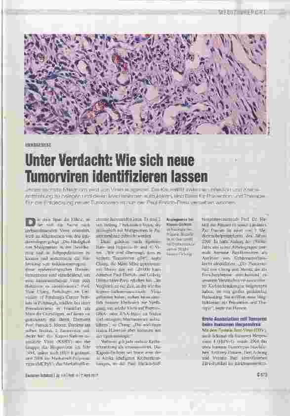 Vorschauseite 1: Unter Verdacht: Wie sich neue Tumorviren identifizieren lassen