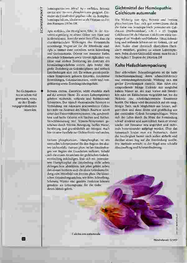Vorschauseite 3: Der akute Gichtanfall