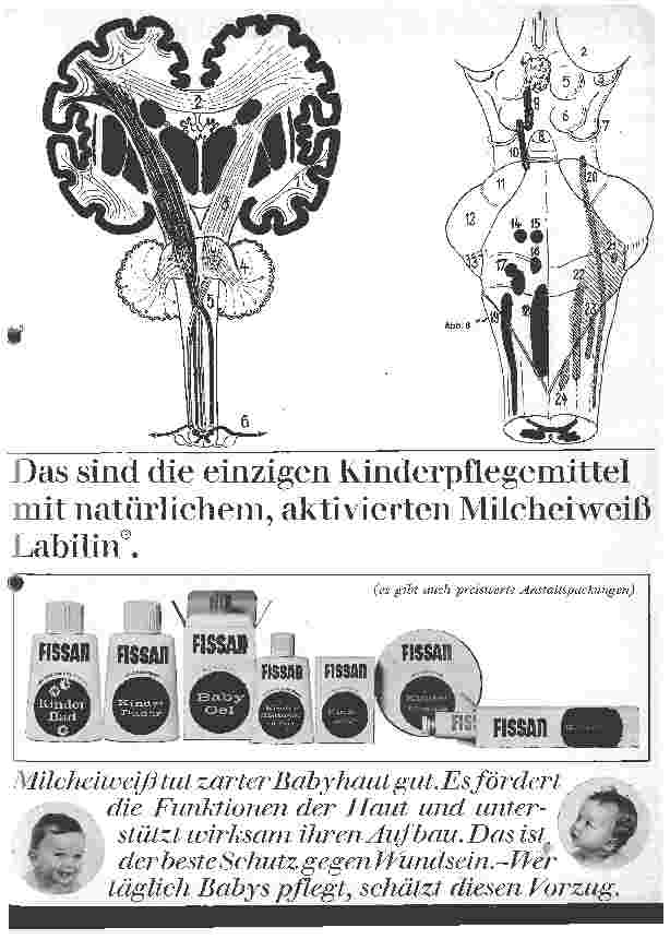 Vorschauseite 4: Das Nervensystem III 28. Folge: Bau und Funktion der einzelnen Abschnitte des Zentralnervensystems