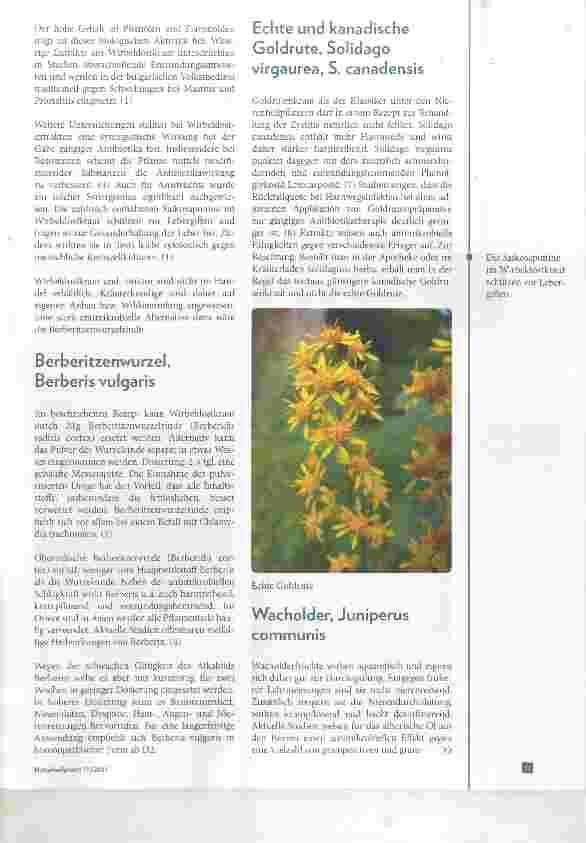 Vorschauseite 2: Pflanzliche Alternativen in der Zystitistherapie