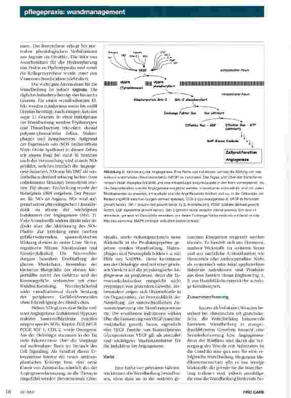 Vorschauseite 4: Einfluss von Pharmaka auf die Wundheilung