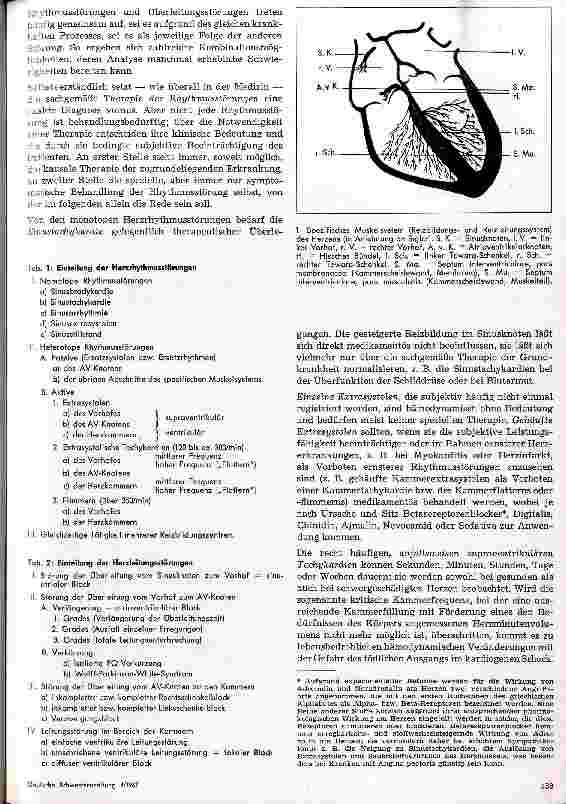 Vorschauseite 2: Zur Diagnostik und Therapie der Herzrhytmusstörungen