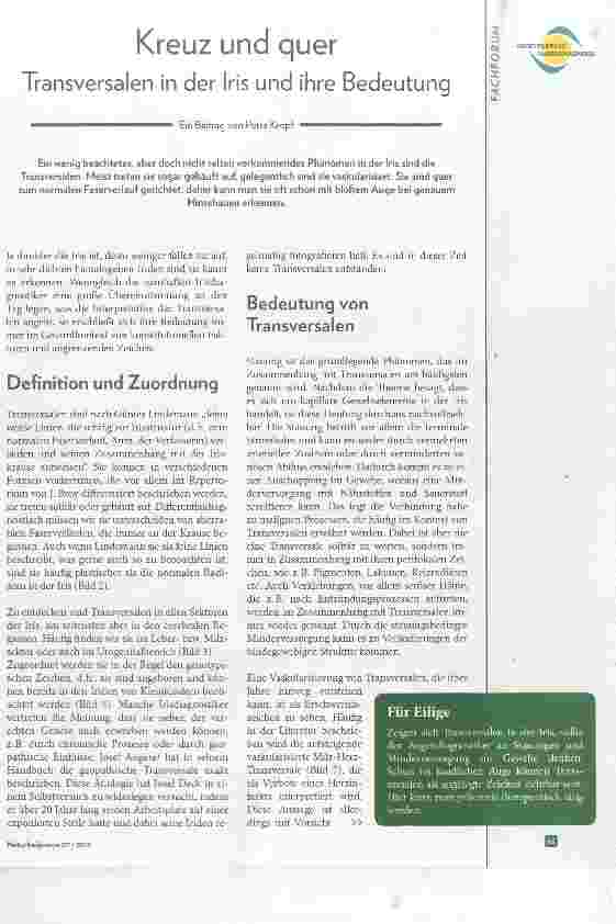 Vorschauseite 1: Kreuz und quer Transversalen in der Iris und ihre Bedeutung
