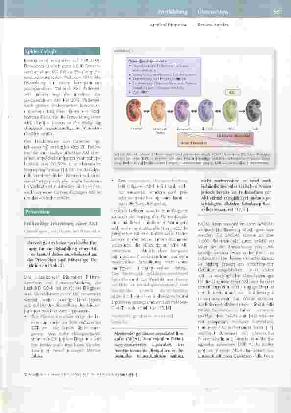 Vorschauseite 3: Perioperative akute Nierenschädigung